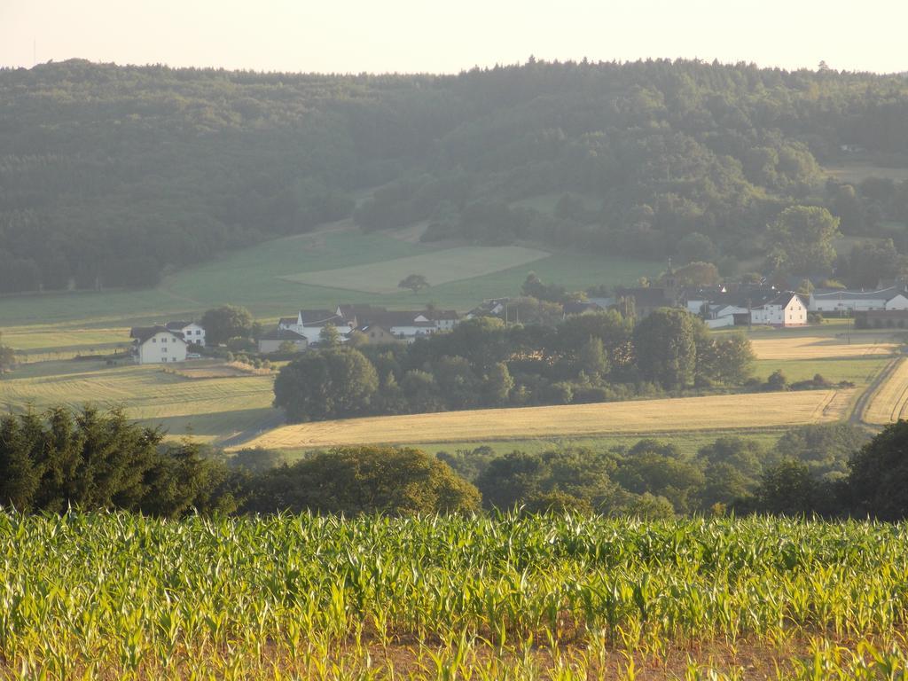 Ferienwohnung Inge Blum Müllenbach エクステリア 写真